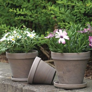 Outdoor Pots/Planters