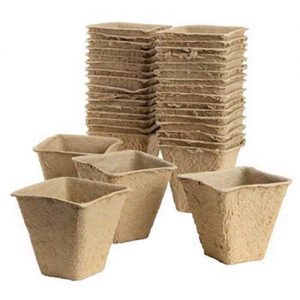 GI Fibre Pots Square 6cm (20pk)