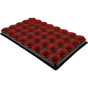 Seed-and-Cutting-Tray-with-40-Pots