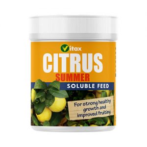 Vitax-Citrus-Feed-Summer