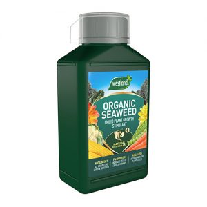 Westland-Organic-Seaweed-Liquid-Plant-Growth-Stimulant