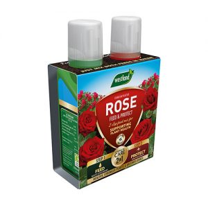 Westland-Rose-2-in-1-Feed-&-Protect