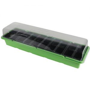 Windowsill-Propagator-Set