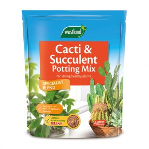 Cacti & Succulent Potting Mix