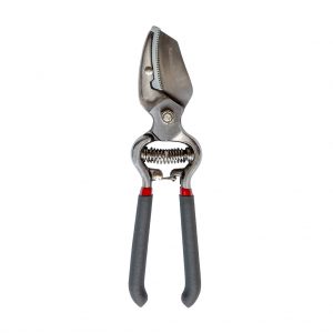 Traditional Anvil Secateurs