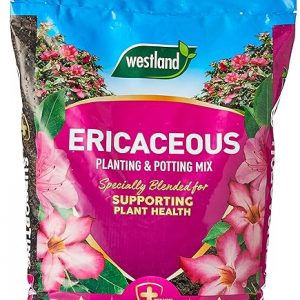 Westland John Innes Ericaceous Compost Small Bag 10litre