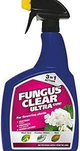 Evergreen Fungus Clear Ultra Gun 1ltr