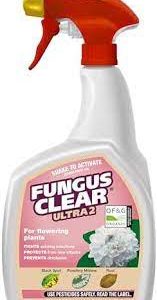 Evergreen Fungus Clear Ultra 2 Gun 800ml